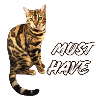 Must Have Cat Sticker by Kitty Fuchs