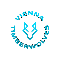 Sport Basketball Sticker by Vienna Timberwolves
