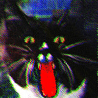 Digital Art Cat GIF by patternbase