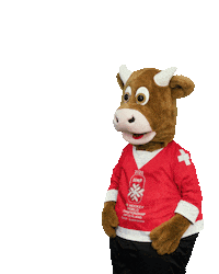 World Cup Referee Sticker by 2020 IIHF Ice Hockey World Championship Switzerland