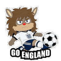 World Cup Football Sticker