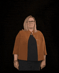 fdpfraktionlsa fdplsa fdpfraktionlsa ktarricone tarricone GIF