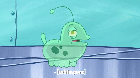 season 9 safe deposit krabs GIF by SpongeBob SquarePants