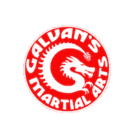 Galvansmartialarts Sticker by Team GMA