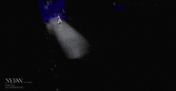 new york fashion week 2016 GIF by NYFW: The Shows