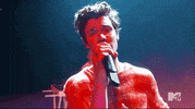 Shawn Mendes GIF by 2021 MTV Video Music Awards