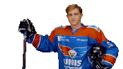 unisflyers goal eagles flyers nederland Sticker