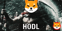 Shiba Inu GIF by SHIB MEMES