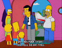 homer simpson GIF