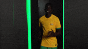 World Cup Soccer GIF by Football Australia