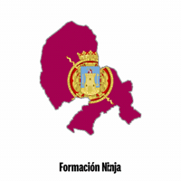 Flag Spain GIF by Formación Ninja