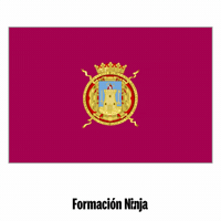 Flag Spain GIF by Formación Ninja