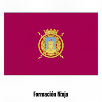 Flag Pixel Art GIF by Formación Ninja