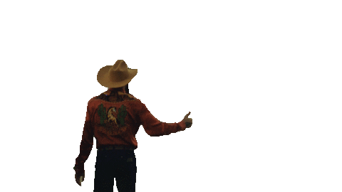 Bronco Sticker by Orville Peck