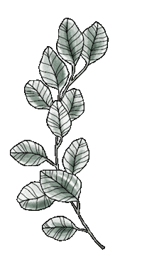 Art Plant Sticker