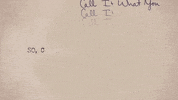 call it what you want GIF by Taylor Swift