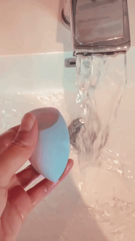 Chameleon beauty blender