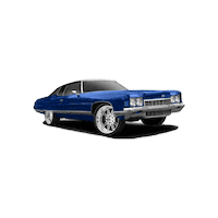 ProWheels pro wheels rims donk Sticker