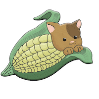 Corn Cob Cat Sticker