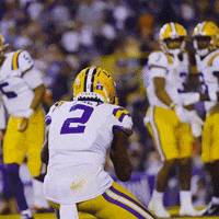 College Football GIF by LSU Tigers