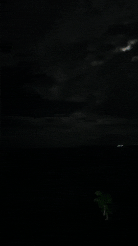 Puerto Rico Summer GIF