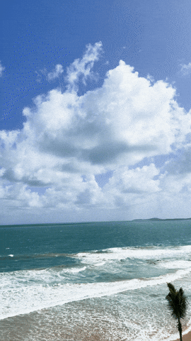 Puerto Rico Summer GIF