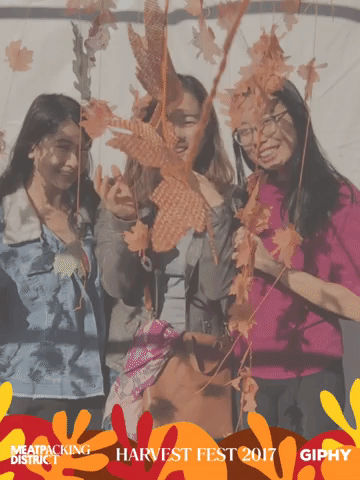 harvestfestny GIF by Meatpacking District