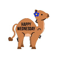 Wacky Wednesday Sticker by Jessica Lau