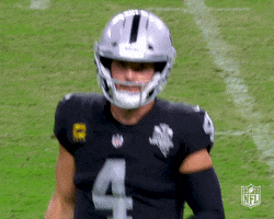 Las Vegas Raiders Whatever GIF by NFL