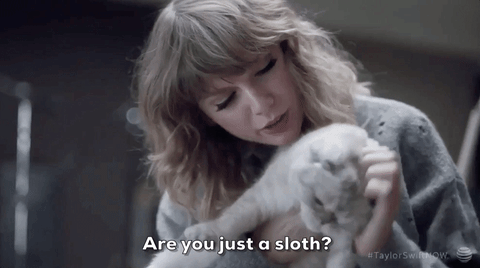 taylor swift GIF
