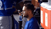 Blue Jays Baseball GIF by Toronto Blue Jays