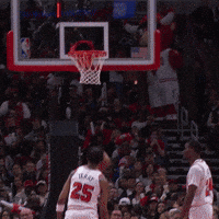 Nyk GIF by New York Knicks
