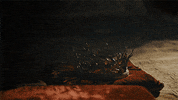 hbo GIF by Game of Thrones