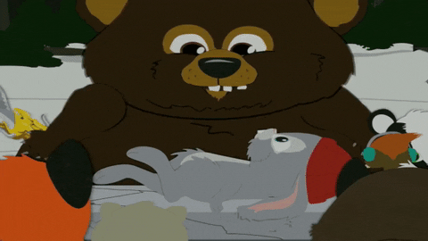 teddy bear GIF by South Park 