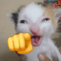 Cat Fail GIF