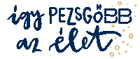 Party Celebration Sticker by BB pezsgő & bor