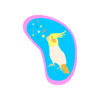 Bird Cockatiel Sticker by Pets Add Life