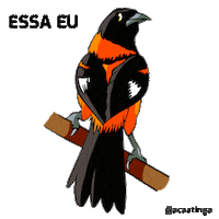See Sticker by Associação Caatinga