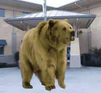 warren high school GIF by Leroy Patterson