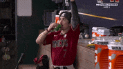 Major League Baseball Sport GIF by MLB