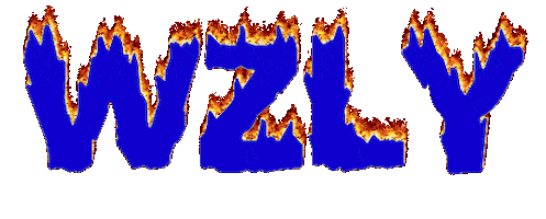 Sticker by WZLY 91.5 FM