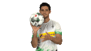 Borussia Moenchengladbach Spinning Sticker by Bundesliga