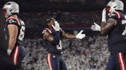 Stefon Diggs Football GIF by New England Patriots