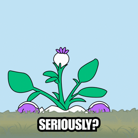 Angry For Real GIF by Magic Eden