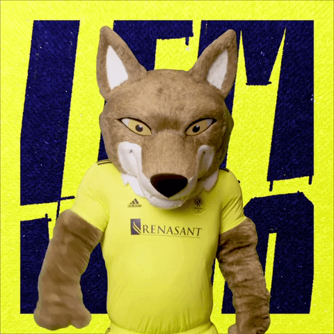 Mascot Thumbs Down GIF by Nashville SC