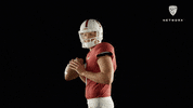 Football Touchdown GIF by Pac-12 Network