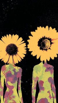 Canvas Fool GIF by Elton Audio Records