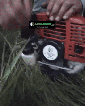 HOLMAN F50 en acción (GIF)