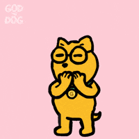 Love You Hearts GIF by God The Dog