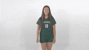 Huntington University GIF by FDN Sports
